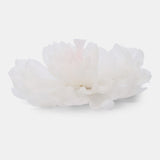 بروش من الشيفون الحريري مزين بالريش