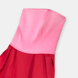 Nean Strapless Color-Block Gown Pink