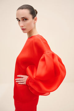 Voluminous Balloon Sleeve Blouse